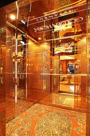 Deluxe Golden Horn