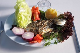 Deluxe Golden Horn