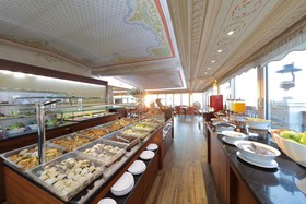 Deluxe Golden Horn