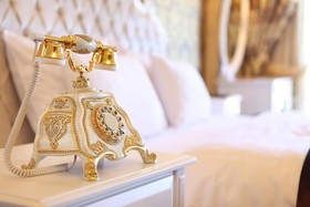 Deluxe Golden Horn