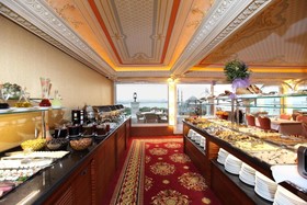 Deluxe Golden Horn