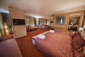 Dream Hill Business Deluxe