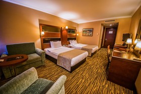 Dream Hill Business Deluxe