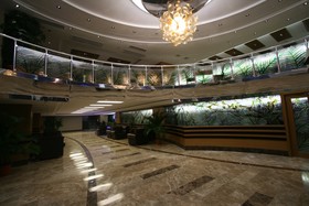 Dream Hill Business Deluxe