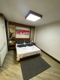 Dreams Istanbul Hotel