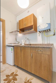 Eagle Palace Suites Kartal