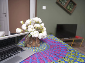 Elele Boutique Apart