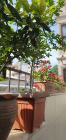 Faik Pasha Hotel