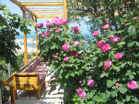 Gizli Bahce Butik Otel