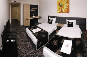 Gold Suite