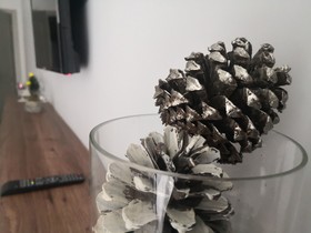 HBS Boutique Hotel  Garden & Restaurant