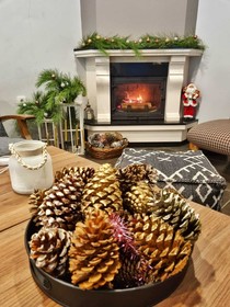 HBS Boutique Hotel  Garden & Restaurant