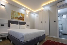 Hodegon Suite