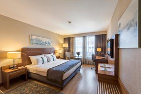 Holiday Inn Istanbul - Sisli