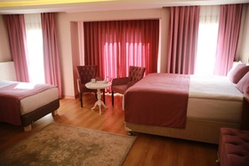 Hotel Black Tulip