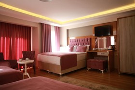 Hotel Black Tulip