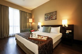 Istanbul Sabiha Gökcen Airport Hotel