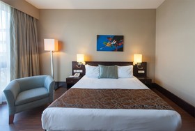 Istanbul Sabiha Gökcen Airport Hotel