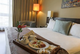 Istanbul Sabiha Gökcen Airport Hotel