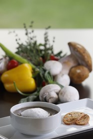 Istanbul Sabiha Gökcen Airport Hotel