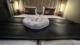 Istanbul City Airport Hotel