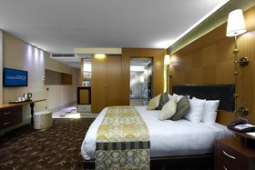 Istanbul Gonen