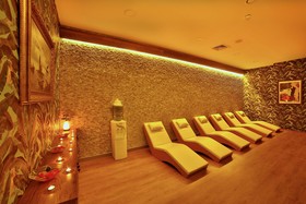 Four Sides Lion Hotel Taksim