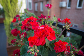 Long Stay Istanbul Residence