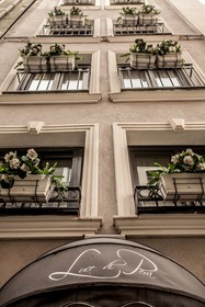 Luce Di Pera
