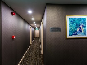 Molton Monapart Mecidiyekoy