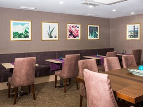 Molton Monapart Mecidiyekoy