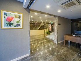 Molton Monapart Mecidiyekoy