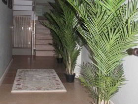 Mono Suites