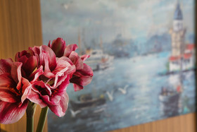 Obelisk Hotel & Suites