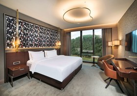 Radisson Collection Hotel, Vadistanbul