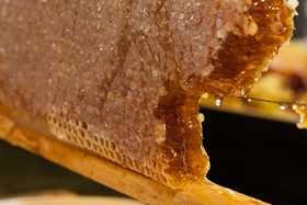 Sura Design Hotel & Suites