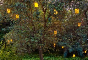 Symbola Bosphorus Hotel  Ortaköy