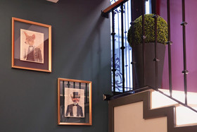 The Fox Hotels
