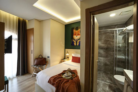 The Fox Hotels
