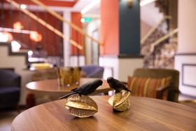 The Fox Hotels