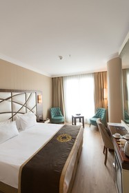 The Grand Mira Business Hotel