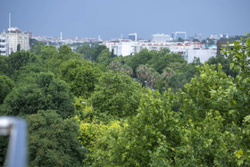 The Green Otel