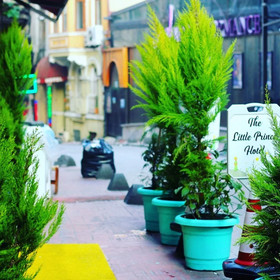 The Little Prince Hotel