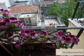 The Sultans Royal