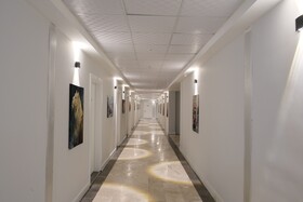 The Sunshine Otel