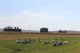 Lake Cildir Lodge