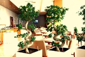 Oruçoglu Oreko Hotel