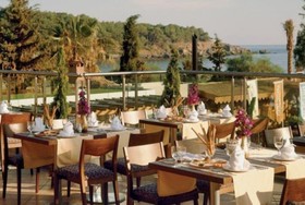 Riva Club N