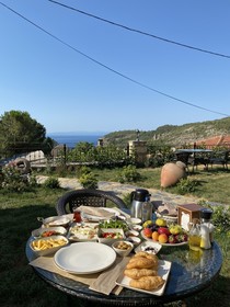 Arikli Han Kazdaglari