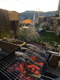 Arikli Han Kazdaglari